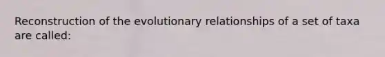 Reconstruction of the evolutionary relationships of a set of taxa are called: