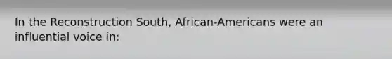 In the Reconstruction South, African-Americans were an influential voice in: