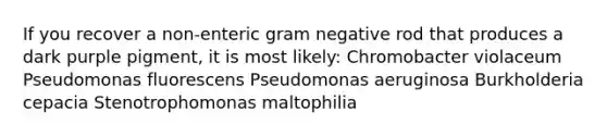 If you recover a non-enteric gram negative rod that produces a dark purple pigment, it is most likely: Chromobacter violaceum Pseudomonas fluorescens Pseudomonas aeruginosa Burkholderia cepacia Stenotrophomonas maltophilia