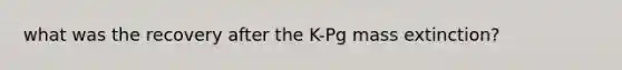 what was the recovery after the K-Pg mass extinction?