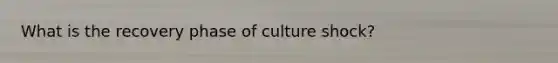 What is the recovery phase of culture shock?