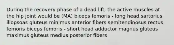 During the recovery phase of a dead lift, the active muscles at the hip joint would be (MA) biceps femoris - long head sartorius iliopsoas gluteus minimus anterior fibers semitendinosus rectus femoris biceps femoris - short head adductor magnus gluteus maximus gluteus medius posterior fibers