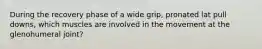 During the recovery phase of a wide grip, pronated lat pull downs, which muscles are involved in the movement at the glenohumeral joint?