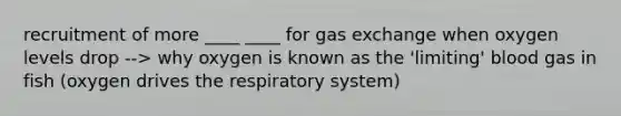 recruitment of more ____ ____ for gas exchange when oxygen levels drop --> why oxygen is known as the 'limiting' blood gas in fish (oxygen drives the respiratory system)