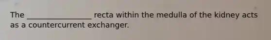 The _________________ recta within the medulla of the kidney acts as a countercurrent exchanger.