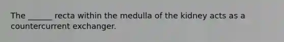 The ______ recta within the medulla of the kidney acts as a countercurrent exchanger.