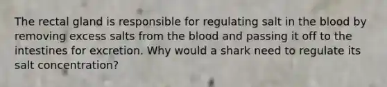 The rectal gland is responsible for regulating salt in the blood by removing excess salts from the blood and passing it off to the intestines for excretion. Why would a shark need to regulate its salt concentration?