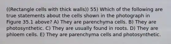 ((Rectangle cells with thick walls)) 55) Which of the following are true statements about the cells shown in the photograph in Figure 35.1 above? A) They are parenchyma cells. B) They are photosynthetic. C) They are usually found in roots. D) They are phloem cells. E) They are parenchyma cells and photosynthetic.