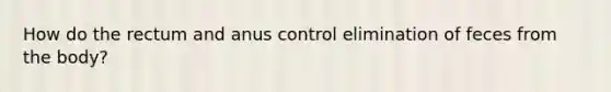 How do the rectum and anus control elimination of feces from the body?