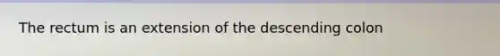 The rectum is an extension of the descending colon