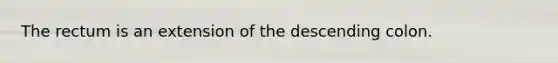 The rectum is an extension of the descending colon.