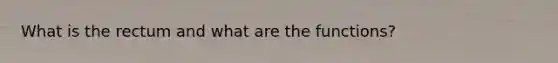 What is the rectum and what are the functions?