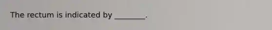 The rectum is indicated by ________.