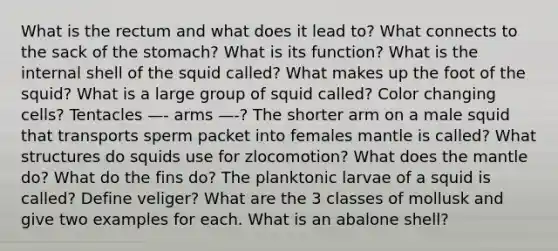 What is the rectum and what does it lead to? What connects to the sack of the stomach? What is its function? What is the internal shell of the squid called? What makes up the foot of the squid? What is a large group of squid called? Color changing cells? Tentacles —- arms —-? The shorter arm on a male squid that transports sperm packet into females mantle is called? What structures do squids use for zlocomotion? What does the mantle do? What do the fins do? The planktonic larvae of a squid is called? Define veliger? What are the 3 classes of mollusk and give two examples for each. What is an abalone shell?