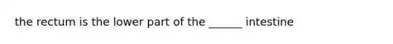 the rectum is the lower part of the ______ intestine