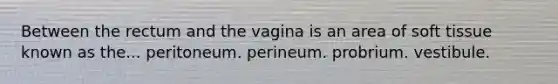 Between the rectum and the vagina is an area of soft tissue known as the... peritoneum. perineum. probrium. vestibule.