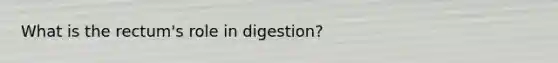 What is the rectum's role in digestion?