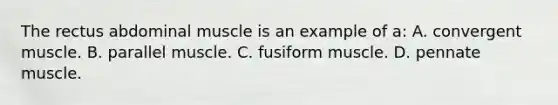 The rectus abdominal muscle is an example of a: A. convergent muscle. B. parallel muscle. C. fusiform muscle. D. pennate muscle.