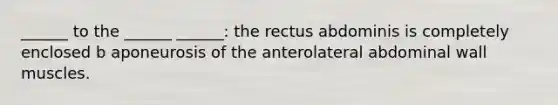 ______ to the ______ ______: the rectus abdominis is completely enclosed b aponeurosis of the anterolateral abdominal wall muscles.