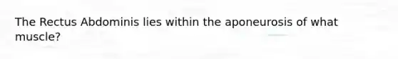 The Rectus Abdominis lies within the aponeurosis of what muscle?