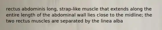 rectus abdominis long, strap-like muscle that extends along the entire length of the abdominal wall lies close to the midline; the two rectus muscles are separated by the linea alba