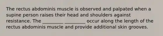 The rectus abdominis muscle is observed and palpated when a supine person raises their head and shoulders against resistance. The _________ _________ occur along the length of the rectus abdominis muscle and provide additional skin grooves.