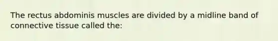 The rectus abdominis muscles are divided by a midline band of connective tissue called the: