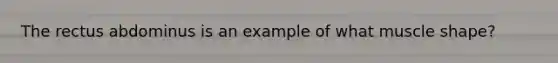 The rectus abdominus is an example of what muscle shape?
