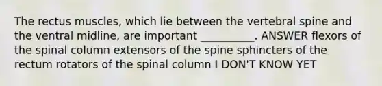 The rectus muscles, which lie between the vertebral spine and the ventral midline, are important __________. ANSWER flexors of the spinal column extensors of the spine sphincters of the rectum rotators of the spinal column I DON'T KNOW YET