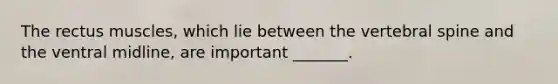 The rectus muscles, which lie between the vertebral spine and the ventral midline, are important _______.