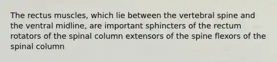 The rectus muscles, which lie between the vertebral spine and the ventral midline, are important sphincters of the rectum rotators of the spinal column extensors of the spine flexors of the spinal column