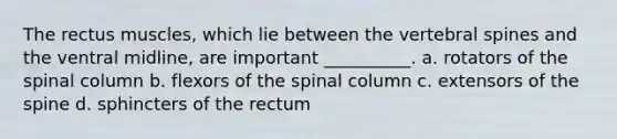 The rectus muscles, which lie between the vertebral spines and the ventral midline, are important __________. a. rotators of the spinal column b. flexors of the spinal column c. extensors of the spine d. sphincters of the rectum