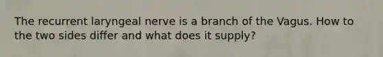 The recurrent laryngeal nerve is a branch of the Vagus. How to the two sides differ and what does it supply?