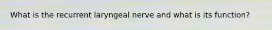 What is the recurrent laryngeal nerve and what is its function?