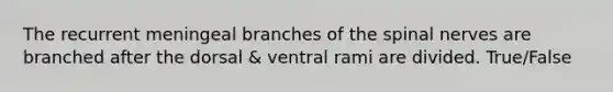 The recurrent meningeal branches of the spinal nerves are branched after the dorsal & ventral rami are divided. True/False