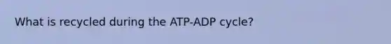 What is recycled during the ATP-ADP cycle?