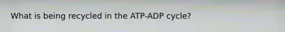 What is being recycled in the ATP-ADP cycle?