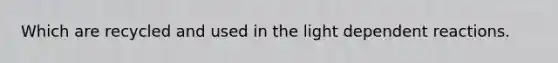 Which are recycled and used in the light dependent reactions.
