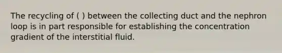 The recycling of ( ) between the collecting duct and the nephron loop is in part responsible for establishing the concentration gradient of the interstitial fluid.