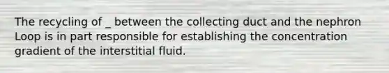 The recycling of _ between the collecting duct and the nephron Loop is in part responsible for establishing the concentration gradient of the interstitial fluid.