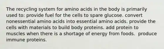 The recycling system for amino acids in the body is primarily used to:​ ​provide fuel for the cells to spare glucose. ​convert nonessential amino acids into essential amino acids. ​provide the cells with materials to build body proteins. ​add protein to muscles when there is a shortage of energy from foods. ​ produce immune proteins.