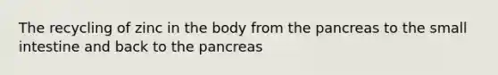 The recycling of zinc in the body from the pancreas to the small intestine and back to the pancreas