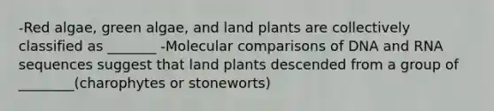 -Red algae, green algae, and land plants are collectively classified as _______ -Molecular comparisons of DNA and RNA sequences suggest that land plants descended from a group of ________(charophytes or stoneworts)