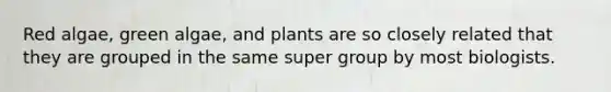 Red algae, green algae, and plants are so closely related that they are grouped in the same super group by most biologists.