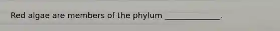 Red algae are members of the phylum ______________.