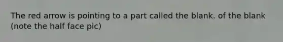 The red arrow is pointing to a part called the blank. of the blank (note the half face pic)