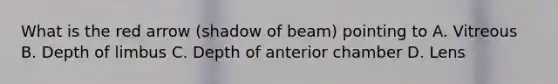 What is the red arrow (shadow of beam) pointing to A. Vitreous B. Depth of limbus C. Depth of anterior chamber D. Lens