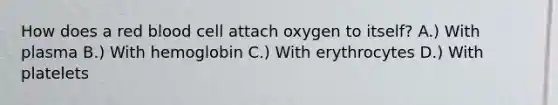 How does a red blood cell attach oxygen to itself? A.) With plasma B.) With hemoglobin C.) With erythrocytes D.) With platelets