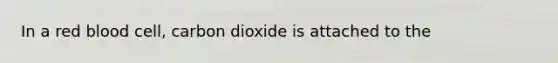 In a red blood cell, carbon dioxide is attached to the