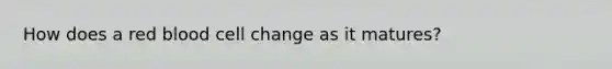 How does a red blood cell change as it matures?